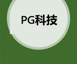 PG电子科技有限公司品牌标识